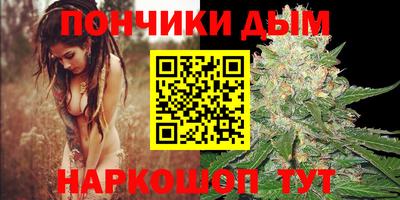 крисы Беслан
