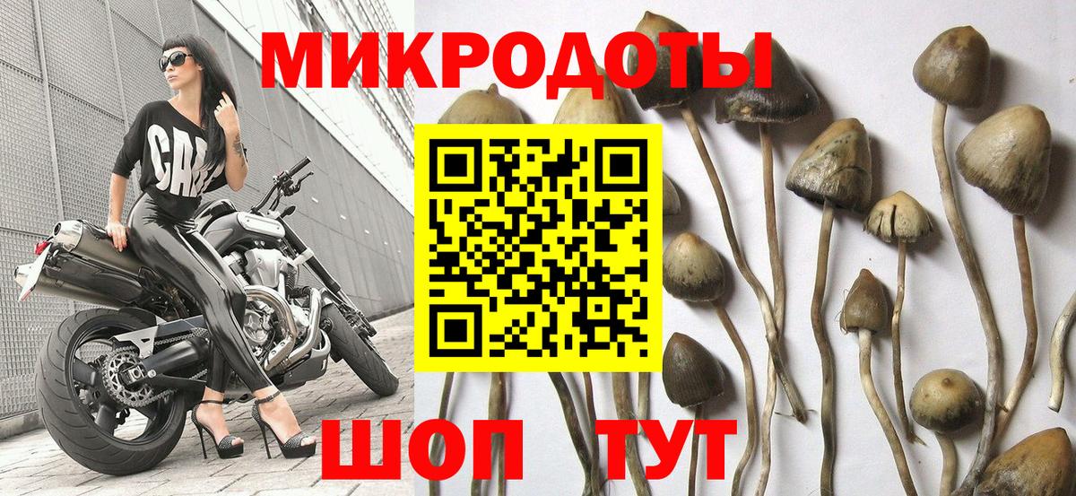 закладки  Вход с VPN  Когалым  Псилоцибиновые грибы прущие грибы  Галлюциногенные грибы Psilocybine cubensis 