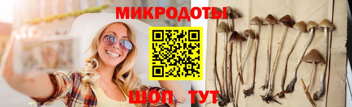 Галлюциногенные грибы Psilocybine cubensis Когалым